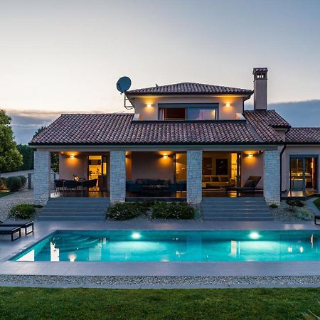 Villa Labin In Zartinj - Luxury Privacy Heated Pool With Auto Cover Luaran gambar